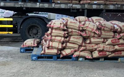 استقبال وتوزيع زكاة الفطر بالجمعية الخيرية بمحافظة الشملي